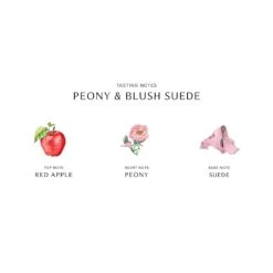 Peony & Blush Suede Cologne 17 Peony & Blush Suede Cologne -Parfums de Marly Sales 690251028405 alt2 1