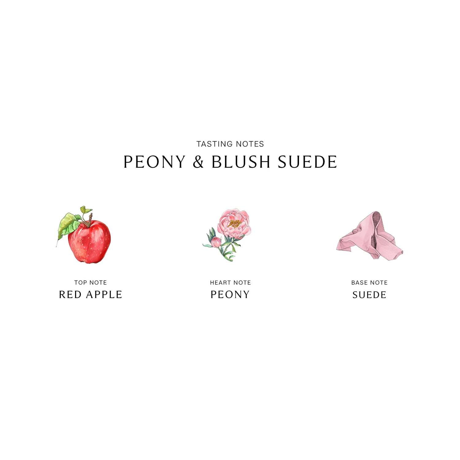 Peony & Blush Suede Cologne 3 Peony & Blush Suede Cologne - Image 3