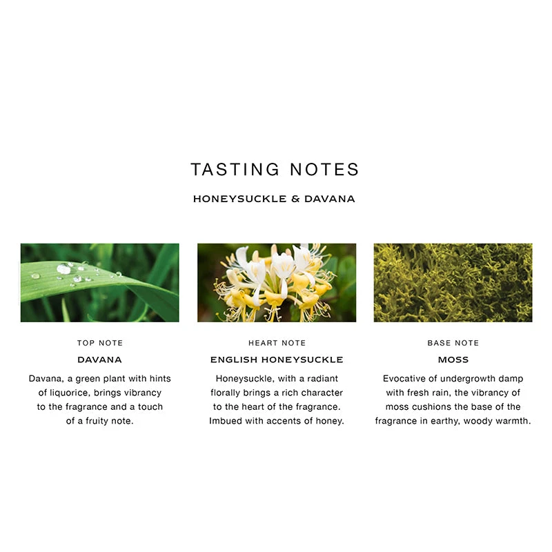 Honeysuckle & Davana Home Candle 3 Honeysuckle & Davana Home Candle - Image 3