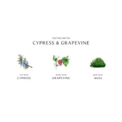Cypress & Grapevine Cologne Intense -Parfums de Marly Sales 690251122233 alt2