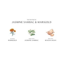 Jasmine Sambac & Marigold Cologne Intense -Parfums de Marly Sales 690251122240 alt2 266e74d7 22f2 427e a0c1 63cffb503fae