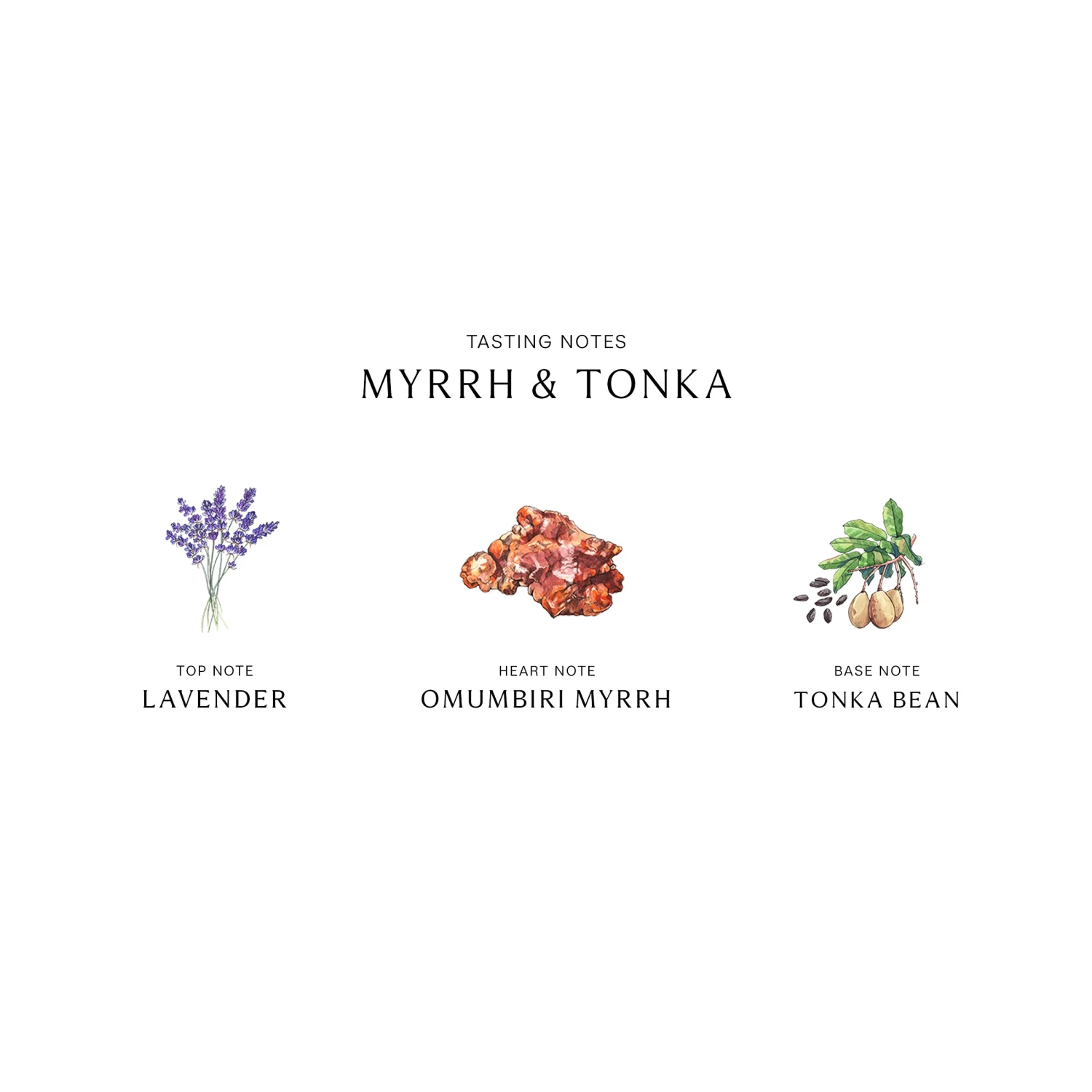 Myrrh & Tonka Cologne Intense 5 Myrrh & Tonka Cologne Intense - Image 5