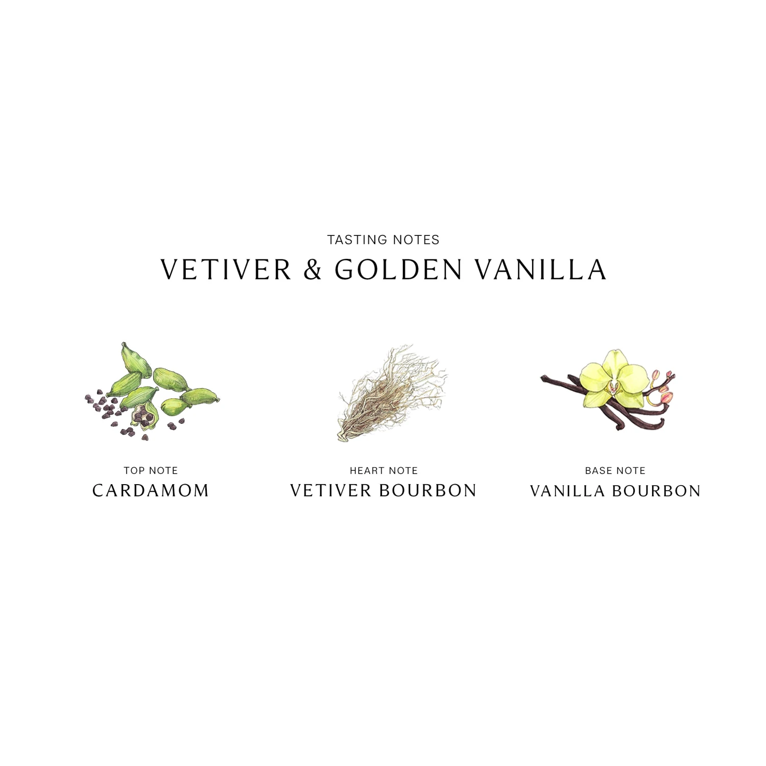 Vetiver & Golden Vanilla Cologne Intense 5 Vetiver & Golden Vanilla Cologne Intense - Image 5