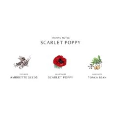 Scarlet Poppy Cologne Intense 10 Scarlet Poppy Cologne Intense -Parfums de Marly Sales 690251126668 alt2