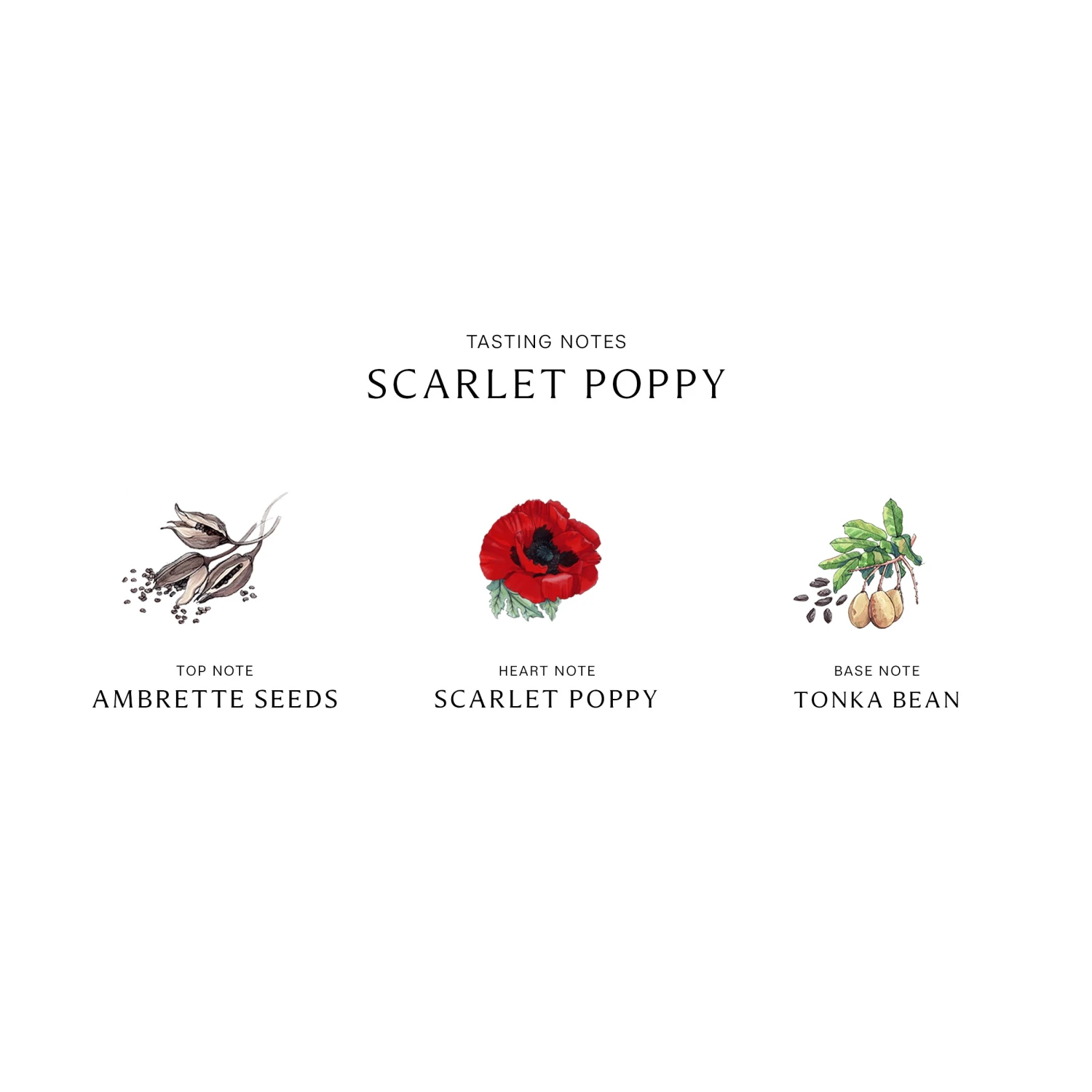 Scarlet Poppy Cologne Intense 5 Scarlet Poppy Cologne Intense - Image 5