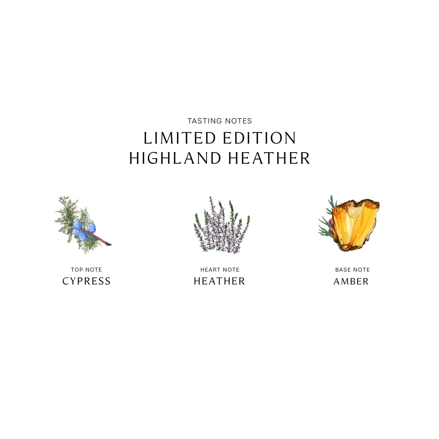 Limited Edition Highland Heather Cologne 3 Limited Edition Highland Heather Cologne - Image 3