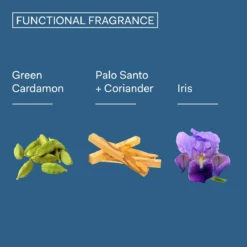 The Functional Fragrance -Parfums de Marly Sales webp02552001 a 22 1 1